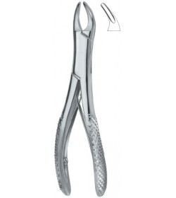 Teeth and Roots ,Universal 150SK
