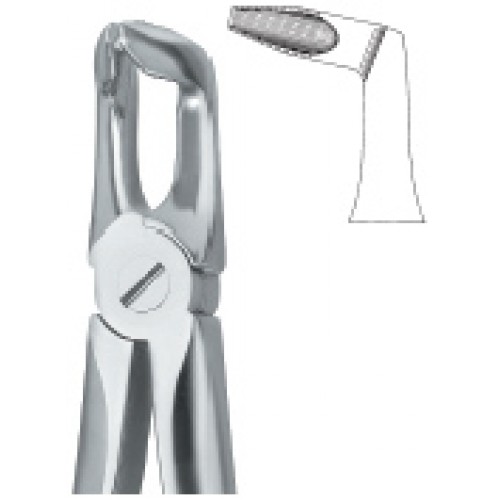 Third Molars ,Deep Gripping 79N