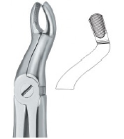 Third Molars 67 A