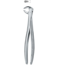 Molars 73