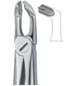 Third Molars 79